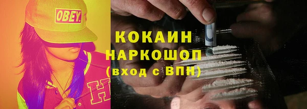 гидра Пролетарск