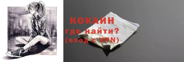 дживик Протвино