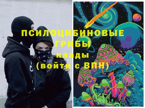 индика Алексин