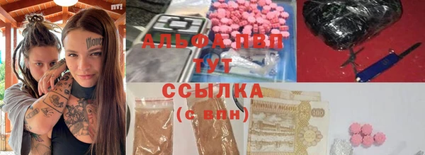 индика Алексин