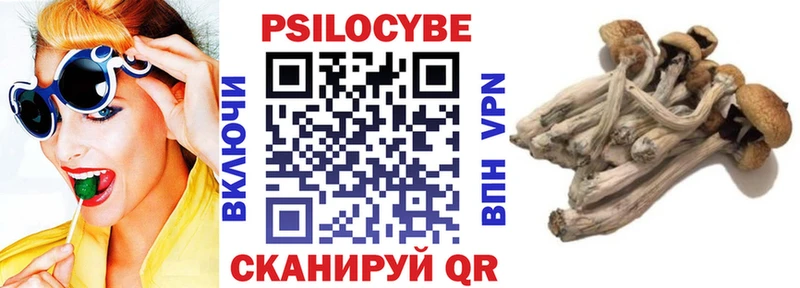 купить   kraken рабочий сайт  Псилоцибиновые грибы мухоморы  Нерчинск 