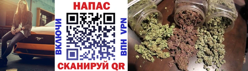 Бошки Шишки MAZAR Нерчинск